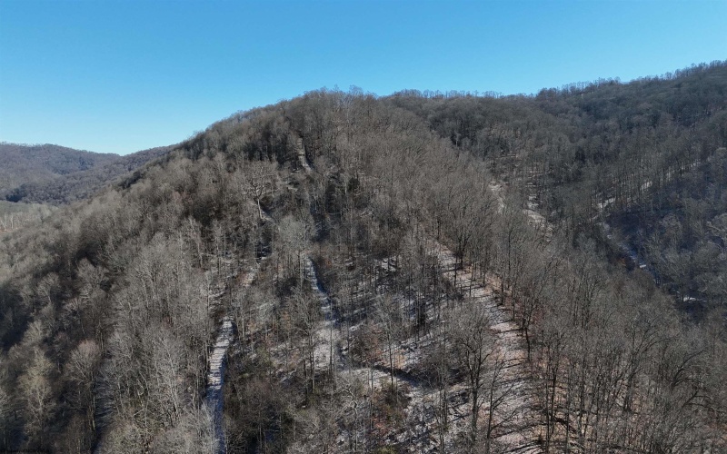 TBD Lantz Ridge Road, Rowlesburg, West Virginia 26425, ,Lots/land,For Sale,Lantz Ridge,10158183