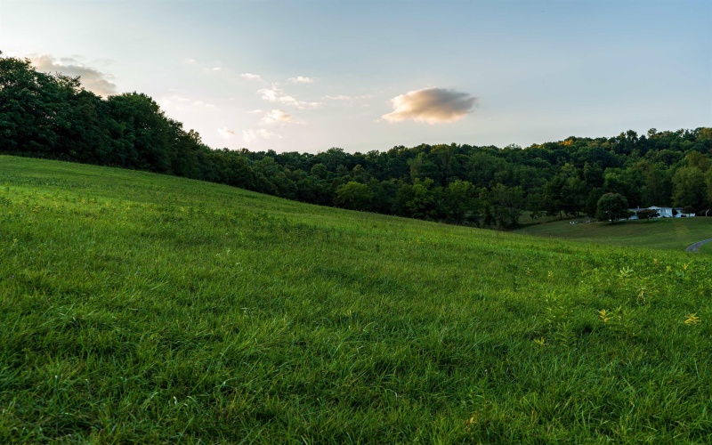 TBD Lynch Road, Morgantown, West Virginia 26501, ,Lots/land,For Sale,Lynch,10158218