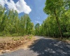 Lot 12 Raspberry Ridge, Morgantown, West Virginia 26508, ,Lots/land,For Sale,Raspberry,10158222