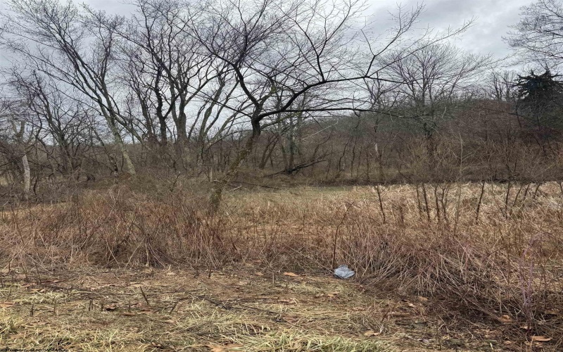 TBD Sunshine Road, Rachel, West Virginia 26587, ,Lots/land,For Sale,Sunshine,10158229