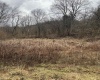 TBD Sunshine Road, Rachel, West Virginia 26587, ,Lots/land,For Sale,Sunshine,10158229