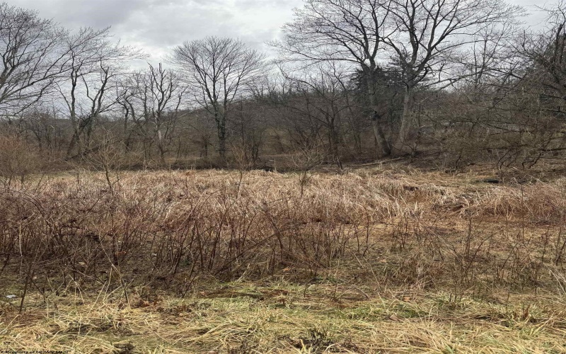 TBD Sunshine Road, Rachel, West Virginia 26587, ,Lots/land,For Sale,Sunshine,10158229