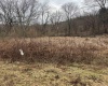 TBD Sunshine Road, Rachel, West Virginia 26587, ,Lots/land,For Sale,Sunshine,10158229