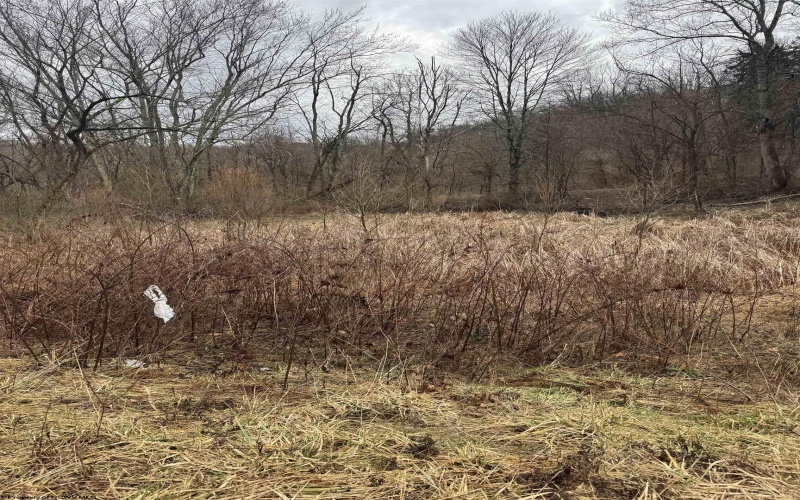 TBD Sunshine Road, Rachel, West Virginia 26587, ,Lots/land,For Sale,Sunshine,10158229