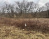 TBD Sunshine Road, Rachel, West Virginia 26587, ,Lots/land,For Sale,Sunshine,10158229