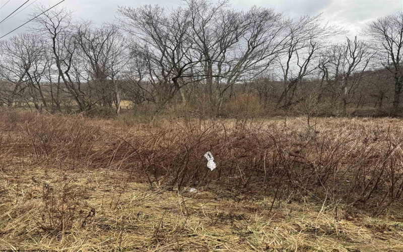 TBD Sunshine Road, Rachel, West Virginia 26587, ,Lots/land,For Sale,Sunshine,10158229