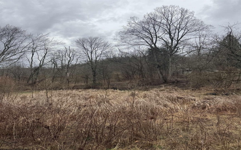 TBD Sunshine Road, Rachel, West Virginia 26587, ,Lots/land,For Sale,Sunshine,10158229
