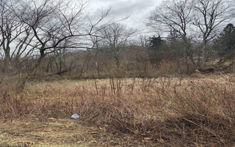 TBD Sunshine Road, Rachel, West Virginia 26587, ,Lots/land,For Sale,Sunshine,10158229