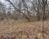 Lots 50 & 51 Carpenter Drive, Fairmont, West Virginia 26554, ,Lots/land,For Sale,Carpenter,10158254