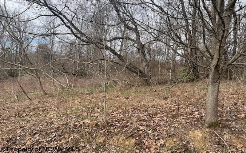 Lots 50 & 51 Carpenter Drive, Fairmont, West Virginia 26554, ,Lots/land,For Sale,Carpenter,10158254