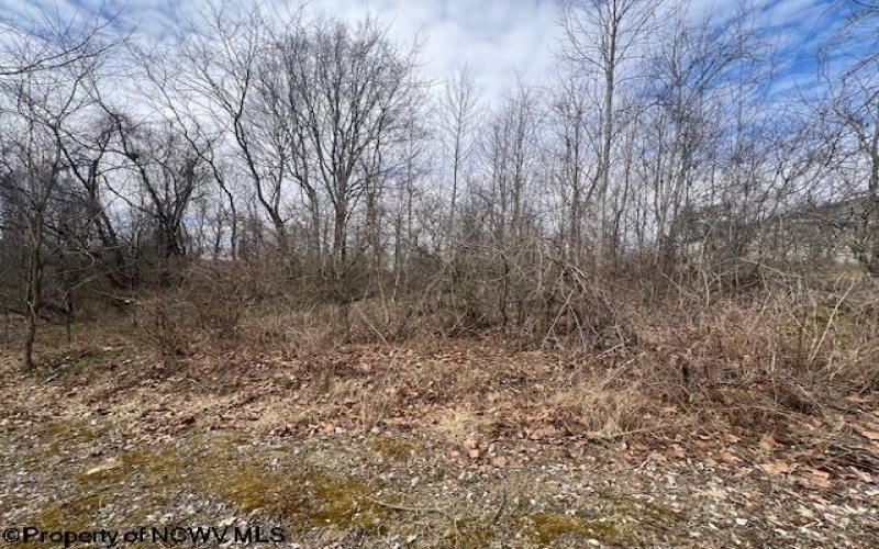 Lots 50 & 51 Carpenter Drive, Fairmont, West Virginia 26554, ,Lots/land,For Sale,Carpenter,10158254