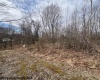 Lots 50 & 51 Carpenter Drive, Fairmont, West Virginia 26554, ,Lots/land,For Sale,Carpenter,10158254