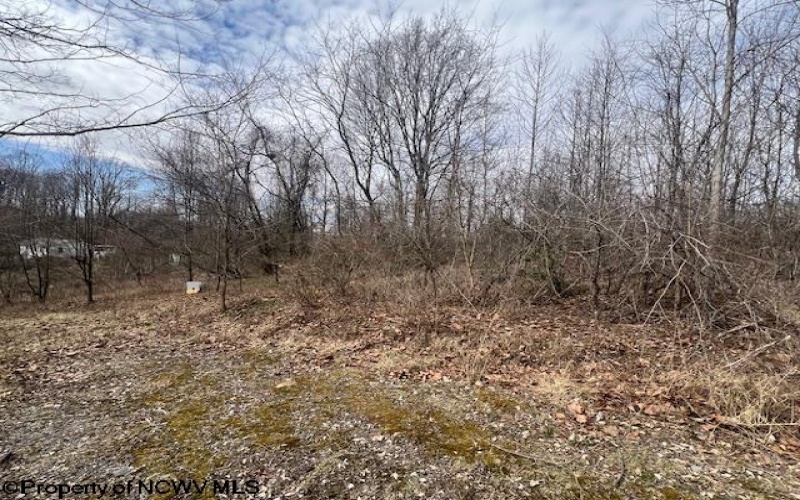 Lots 50 & 51 Carpenter Drive, Fairmont, West Virginia 26554, ,Lots/land,For Sale,Carpenter,10158254