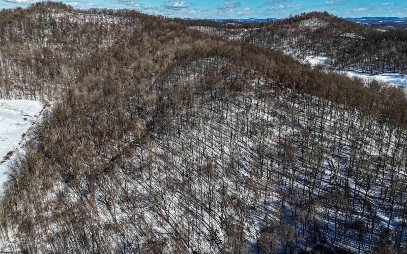 TBD Big Paw Paw Road, Rivesville, West Virginia 26588, ,Lots/land,For Sale,Big Paw Paw,10158242