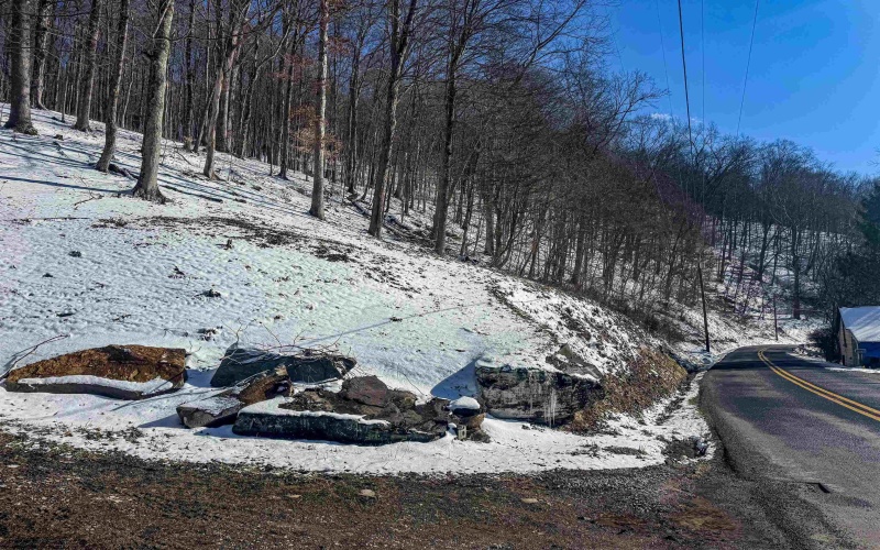 TBD Big Paw Paw Road, Rivesville, West Virginia 26588, ,Lots/land,For Sale,Big Paw Paw,10158242
