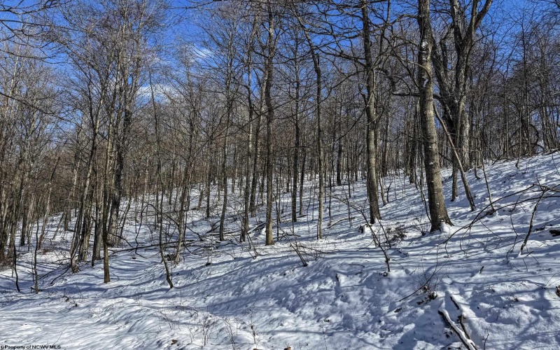 TBD Big Paw Paw Road, Rivesville, West Virginia 26588, ,Lots/land,For Sale,Big Paw Paw,10158242