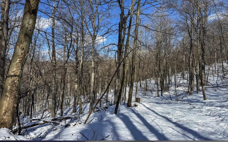TBD Big Paw Paw Road, Rivesville, West Virginia 26588, ,Lots/land,For Sale,Big Paw Paw,10158242