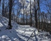 TBD Big Paw Paw Road, Rivesville, West Virginia 26588, ,Lots/land,For Sale,Big Paw Paw,10158242
