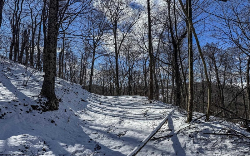TBD Big Paw Paw Road, Rivesville, West Virginia 26588, ,Lots/land,For Sale,Big Paw Paw,10158242