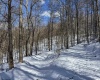 TBD Big Paw Paw Road, Rivesville, West Virginia 26588, ,Lots/land,For Sale,Big Paw Paw,10158242