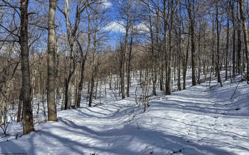 TBD Big Paw Paw Road, Rivesville, West Virginia 26588, ,Lots/land,For Sale,Big Paw Paw,10158242