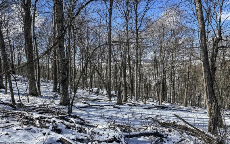 TBD Big Paw Paw Road, Rivesville, West Virginia 26588, ,Lots/land,For Sale,Big Paw Paw,10158242