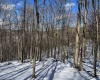 TBD Big Paw Paw Road, Rivesville, West Virginia 26588, ,Lots/land,For Sale,Big Paw Paw,10158242
