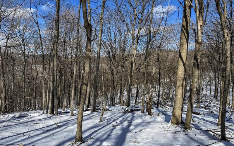 TBD Big Paw Paw Road, Rivesville, West Virginia 26588, ,Lots/land,For Sale,Big Paw Paw,10158242