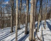 TBD Big Paw Paw Road, Rivesville, West Virginia 26588, ,Lots/land,For Sale,Big Paw Paw,10158242