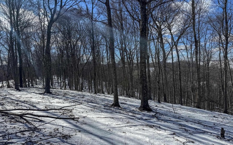 TBD Big Paw Paw Road, Rivesville, West Virginia 26588, ,Lots/land,For Sale,Big Paw Paw,10158242