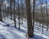 TBD Big Paw Paw Road, Rivesville, West Virginia 26588, ,Lots/land,For Sale,Big Paw Paw,10158242