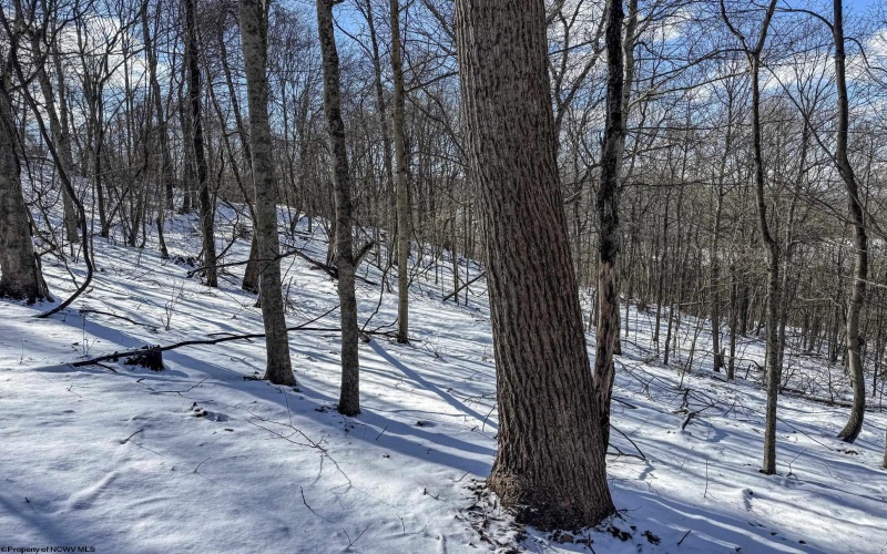 TBD Big Paw Paw Road, Rivesville, West Virginia 26588, ,Lots/land,For Sale,Big Paw Paw,10158242