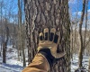 TBD Big Paw Paw Road, Rivesville, West Virginia 26588, ,Lots/land,For Sale,Big Paw Paw,10158242