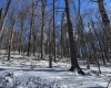 TBD Big Paw Paw Road, Rivesville, West Virginia 26588, ,Lots/land,For Sale,Big Paw Paw,10158242