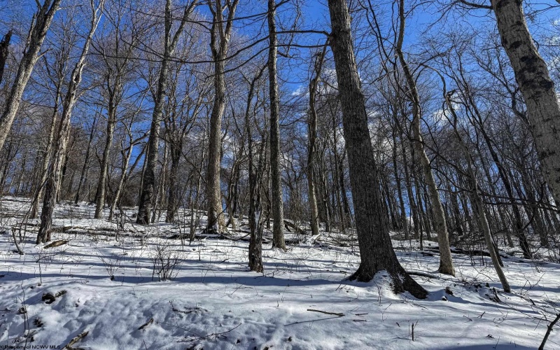 TBD Big Paw Paw Road, Rivesville, West Virginia 26588, ,Lots/land,For Sale,Big Paw Paw,10158242