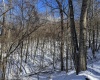 TBD Big Paw Paw Road, Rivesville, West Virginia 26588, ,Lots/land,For Sale,Big Paw Paw,10158242