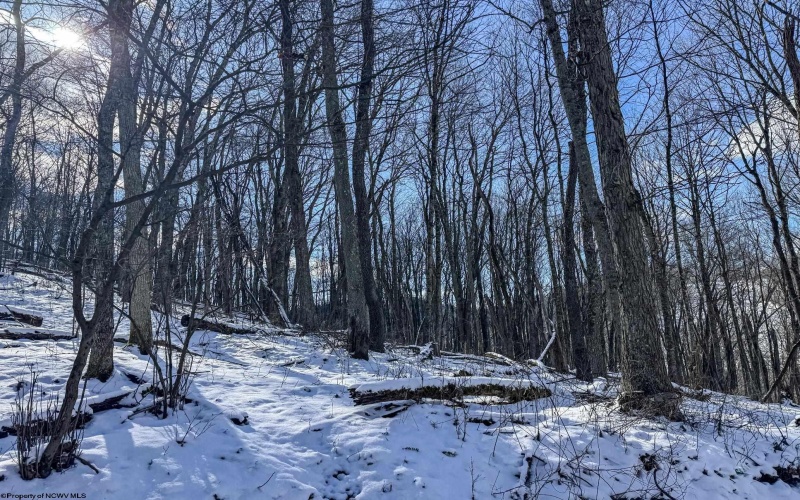 TBD Big Paw Paw Road, Rivesville, West Virginia 26588, ,Lots/land,For Sale,Big Paw Paw,10158242