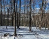 TBD Big Paw Paw Road, Rivesville, West Virginia 26588, ,Lots/land,For Sale,Big Paw Paw,10158242