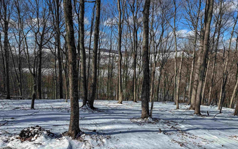 TBD Big Paw Paw Road, Rivesville, West Virginia 26588, ,Lots/land,For Sale,Big Paw Paw,10158242