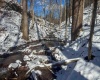TBD Big Paw Paw Road, Rivesville, West Virginia 26588, ,Lots/land,For Sale,Big Paw Paw,10158242