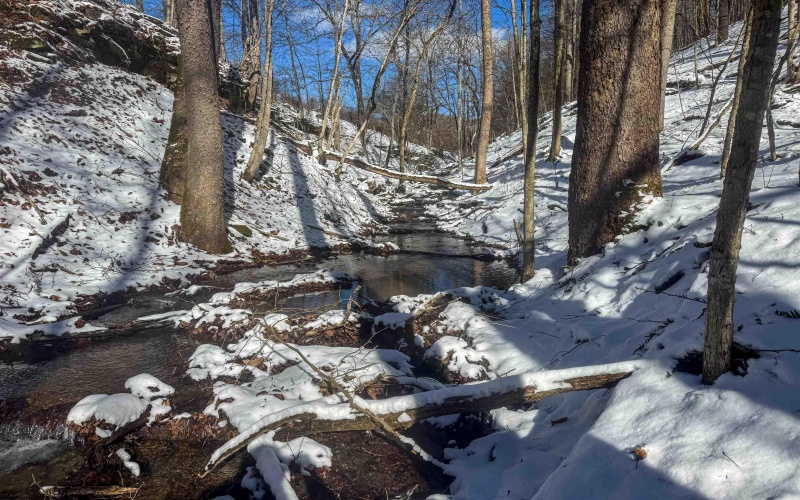 TBD Big Paw Paw Road, Rivesville, West Virginia 26588, ,Lots/land,For Sale,Big Paw Paw,10158242