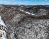 TBD Big Paw Paw Road, Rivesville, West Virginia 26588, ,Lots/land,For Sale,Big Paw Paw,10158242