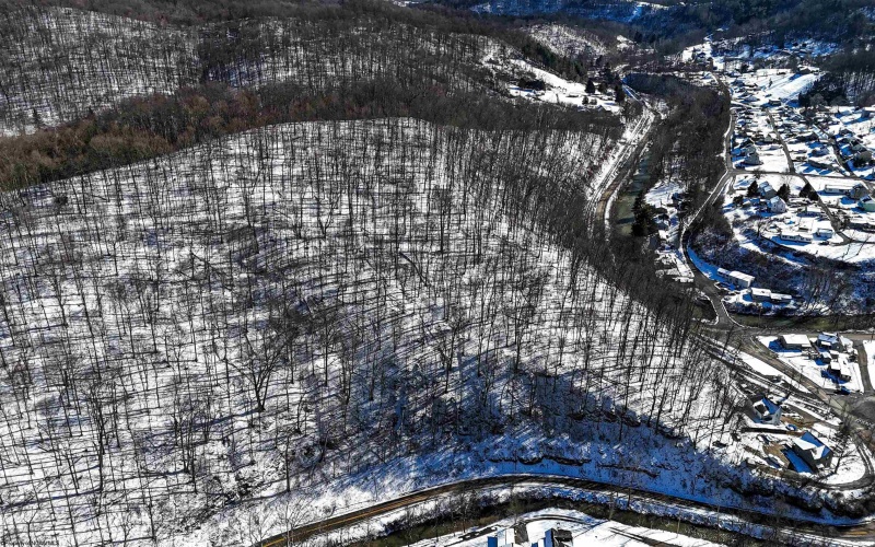 TBD Big Paw Paw Road, Rivesville, West Virginia 26588, ,Lots/land,For Sale,Big Paw Paw,10158242