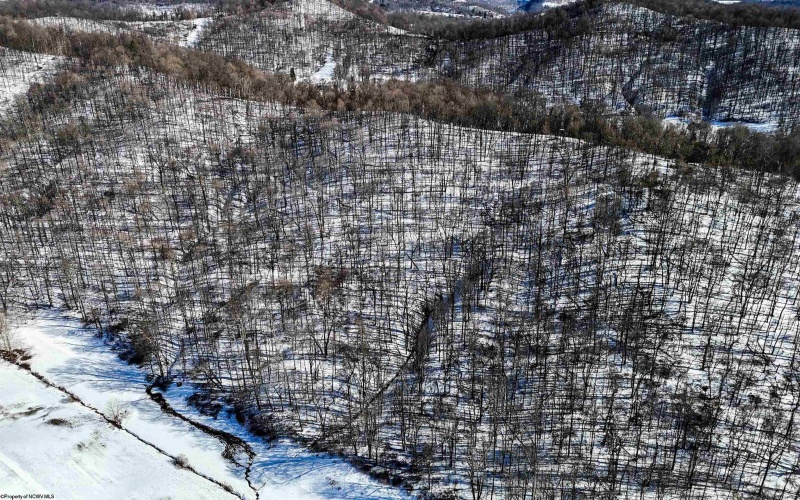 TBD Big Paw Paw Road, Rivesville, West Virginia 26588, ,Lots/land,For Sale,Big Paw Paw,10158242