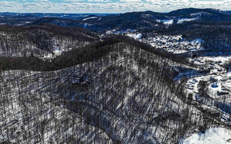 TBD Big Paw Paw Road, Rivesville, West Virginia 26588, ,Lots/land,For Sale,Big Paw Paw,10158242