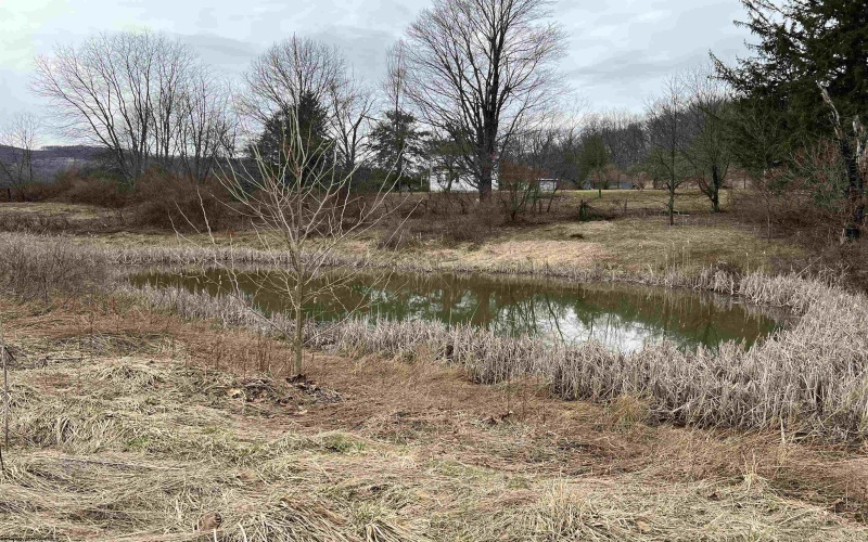 LOT 41 Hayfield Loop, Elkins, West Virginia 26241, ,Lots/land,For Sale,Hayfield,10158270