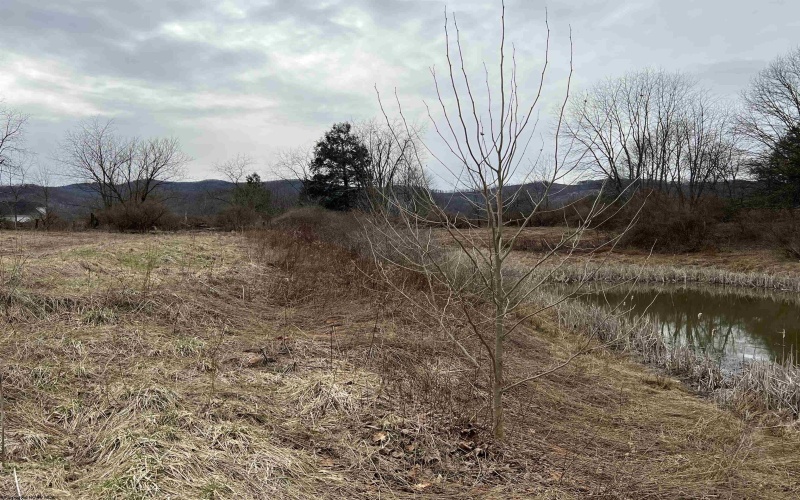 LOT 41 Hayfield Loop, Elkins, West Virginia 26241, ,Lots/land,For Sale,Hayfield,10158270