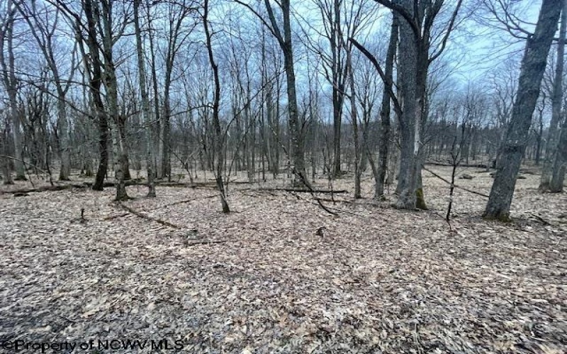 Lot 40 Bobolink Drive, Terra Alta, West Virginia 26764, ,Lots/land,For Sale,Bobolink,10158272