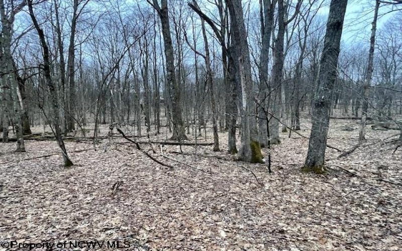 Lot 40 Bobolink Drive, Terra Alta, West Virginia 26764, ,Lots/land,For Sale,Bobolink,10158272