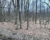 Lot 40 Bobolink Drive, Terra Alta, West Virginia 26764, ,Lots/land,For Sale,Bobolink,10158272